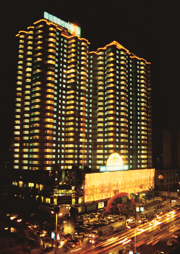 ɽ���������������